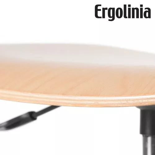  Krzesło obrotowe Ergolinia 10004, fig. 4 