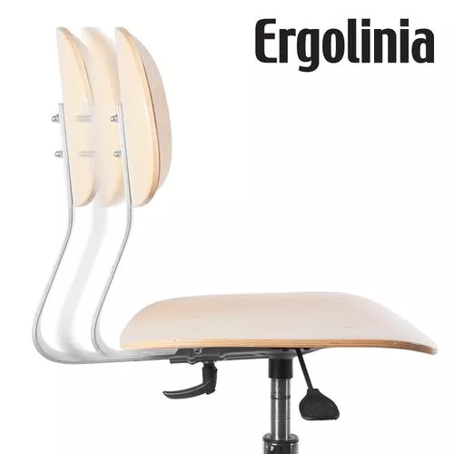  Krzesło obrotowe Ergolinia EVO4, fig. 3 